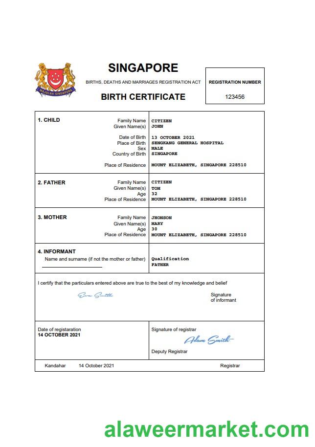 Singapore vital record birth certificate Word and PDF template